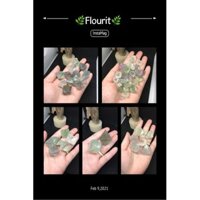 Viên Flourit Flourite thanh tẩy hình thoi bát giác set minisize