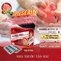 Viên GOUT VẠN SINH ANSERIN Night & Day hỗ trợ giảm acid uric, cải thiện đau nhức, giảm nguy cơ gout, hộp 40 viên