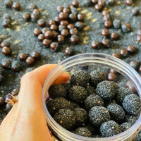 viên hà thủ ô mè đen 500g -1kg