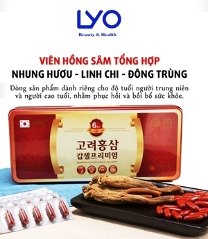 Viên hồng sâm cao cấp Daedong - Korea Red Ginseng Capsule - 830mg x 120 viên