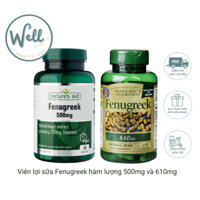 Viên lợi sữa Fenugreek 100 viên