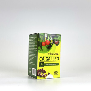 Viên Nang Cà Gai Leo Sadu Hộp 100 Viên