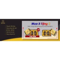 Viên nang đông trùng banikha và trà túi lọc banikha Thiên Phúc ( sản phẩm chính hãng)