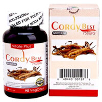 Viên nang mềm Cordy Best 750mg, hỗ trợ tăng sức đề kháng, chống lão hóa