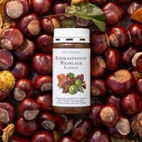 Viên nang suy giãn tĩnh mạch chiết xuất hạt dẻ ngựa Horse Chestnut Vine Leaf