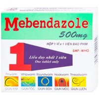 Viên nén Mebendazole 500mg Mekophar điều trị nhiễm một hay nhiều loại giun (1 viên)
