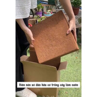 viên nén sơ dừa 5kg