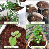 Viên nén sơ dừa dạng viên hữu cơ