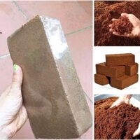 viên nén sơ dừa hữu cơ
