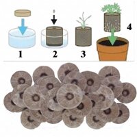 Viên Nén Sơ Dừa Ươm Hạt Giống