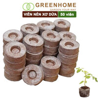 Viên nén xơ dừa, ươm hạt giống trồng cây, ươm hạt, ươm cây giống, trồng dâu tây, thuỷ canh Greenhome - 50 VIÊN NÉN XƠ DỪA