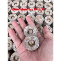 viên nén xơ dừa