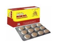 Viên ngậm bổ phế Nam Hà (Hộp/24v)