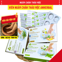 Viên Ngâm Chân Gừng - Tràm Trà - Bạc Hà Giảm Đau Khử Mùi Giảm Ngứa Chân Anherbal (Hộp 24 Viên)