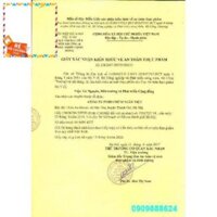 VIÊN RAU CHÙM NGÂY