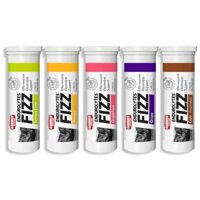 Viên Sủi Điện Giải Hammer Nutrition Endurolytes Fizz 13 viên