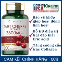 Viên uống Anh đào chua điều trị Gút Bảo vệ tăng sự linh hoạt cho khớp Carlyle Tart Cherry Extract 1200 mg 200 viên