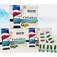 VIẾN UỐNG BỔ GAN CÀ GAI LEO LINHZHI SILYMARIN. GIÚP THANH NHIỆT, HỖ TRỢ GIẢI ĐỘC GAN