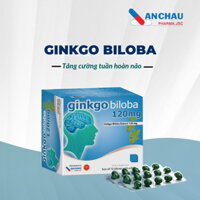 Viên uống bổ não GINKGO BILOBA 120MG bổ sung Vitamin 3B B1 B6 B12 giúp hoạt huyết, giảm đau đầu - Minh Anh