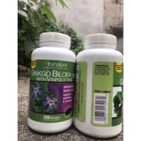 Viên uống bổ não Ginkgo biloba 300 viên của Mỹ