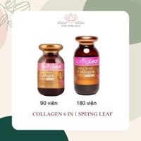 VIÊN UỐNG COLAGEN 6 IN 1 SPRING LEAF LỌ 90 & 180 VIÊN - Hỗ trợ làm đẹp da, chống lão hóa, khỏe tóc móng