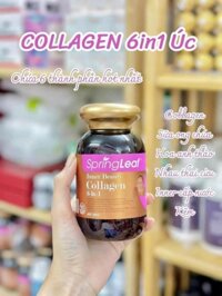 Viên Uống Collagen 6in1 Sping Leaf Úc (H/90v)