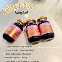 Viên uống Collagen 6in1 Spring Leaf Úc làm giảm quá trình lõa hóa,  nếp nhăn, khô sạm....