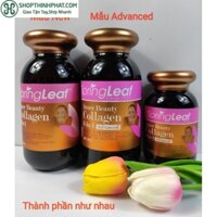 Viên uống Collagen SpringLeaf Inner Beauty Collagen 6in1 Úc hộp 90 viên và 180 viên NTDT