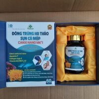 Viên uống ĐÔNG TRÙNG HẠ THẢO - SỤN CÁ MẬP - CANXI NANO MK7 - hỗ trợ giảm đau khớp ,khô khớp do viêm khớp - Hộp 60 viên