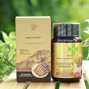 Viên uống đông trùng hạ thảo Cordyceps Sinensis Capsule 60 viên