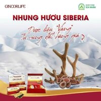 viên uống đông trùng hạ thảo hồng sâm Gincorlife