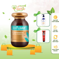 Viên uống Giảm Đau Chống Viêm Tái Tạo Sụn Khớp SpringLeaf Glucosamine 1500mg Plus Chondroitin 90 viên