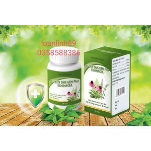 Viên Uống Giảm Viêm Họng, Viêm Phế Quản Xuyên Tâm Liên Plus Echinacea Kingphar 60 Viên