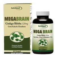 Viên uống hỗ trợ chức năng não bộ Hotchland Mega Brain