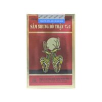 Viên uống Sâm Nhung Bổ Thận Tw3 Foripharm hỗ trợ bổ thận, giảm tiểu đêm, tiểu rắt – Hộp 30 viên