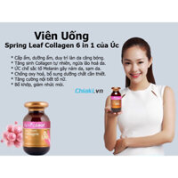 Viên uống Spring Leaf collagen