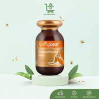 Viên uống tăng cường sinh lý nam, duy trì sức khỏe tổng thể nam giới SpringLeaf Kangaroo Essence 6000mg 120 viên