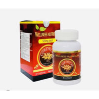 Viên uống tăng cường sức đề kháng Wellness Nutrition Cordyceps