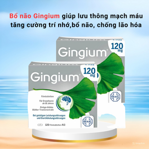 Viên uống tăng tuần hoàn máu não Gingium 120mg