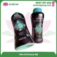 Viên Xã Downy Mỹ Chai 1,06kg