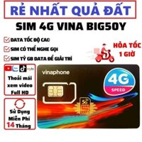 Vinaphone 4G Sim Data Trọn Gói 14 Tháng Sử Dụng Miễn Phí BIG50Y 1 Tỷ GB Truy Cập Mạng Không Giới Hạn