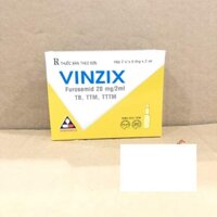 Vinzix 20mg/2ml (10 ống)