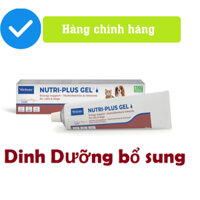 Virbac Nutri plus gel 120gr, kem dinh dưỡng cho chó mèo