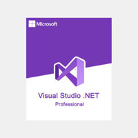 Visual Studio .NET Professional