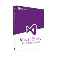 Visual Studio Professional 2022