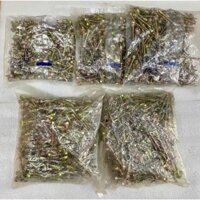 VÍT BẮN TÔN SẮT CHUYÊN DÙNG_NHIỀU KÍCH THƯỚC (200 CON)
