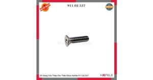 Vít dùng cửa thép cho thân khóa Hafele 911.02.537