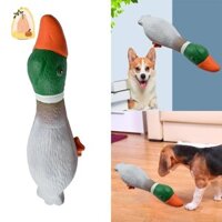 Vịt Mallard, Chơi hấp dẫn, Đồ chơi cho chó, Đồ chơi nhai cho chó, Đồ chơi kêu, Chơi tương tác, Đồ chơi thú cưng bền bỉ, Vui nhộn cho chó