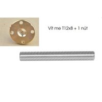 Vít me T screw inox 304 T12 x8 mm dài 1m/ Thanh ren inox phi 12mm dài 1m kèm đai ốc đồng