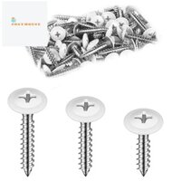 Vít trắng Gỗ Tấm trắng Vít kim loại Thép Carbon Vít trắng